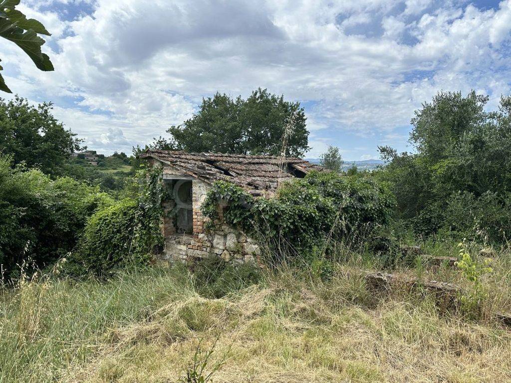 immagine annuncio 7 di 14