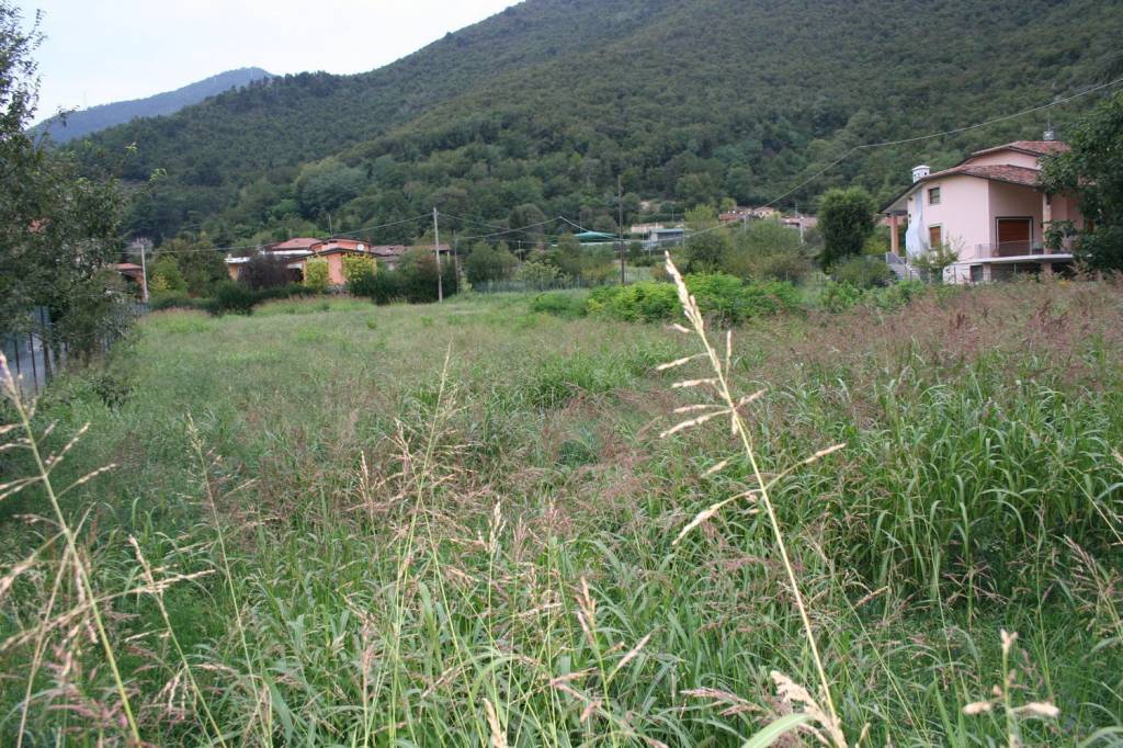 immagine annuncio 4 di 7