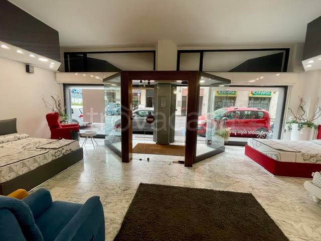 immagine annuncio 2 di 14