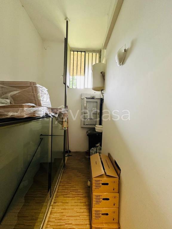 immagine annuncio 4 di 14