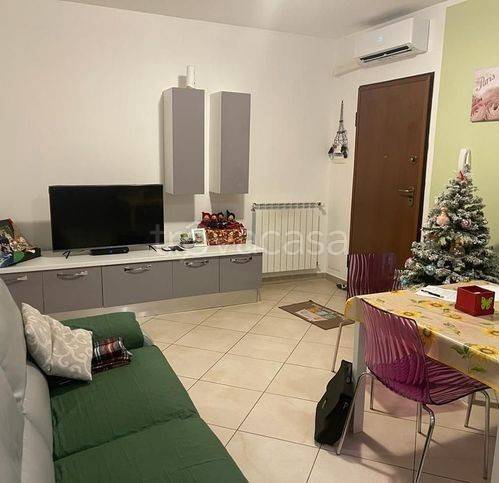 immagine annuncio 4 di 14