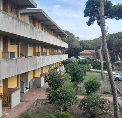 immagine annuncio 2 di 6