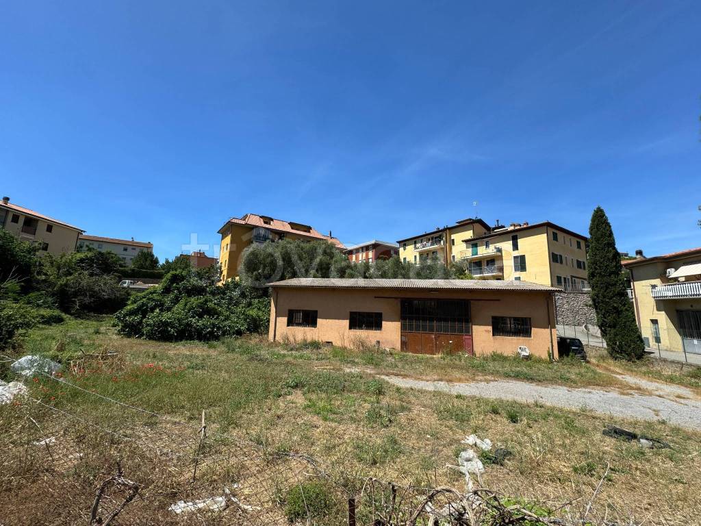 immagine annuncio 4 di 13