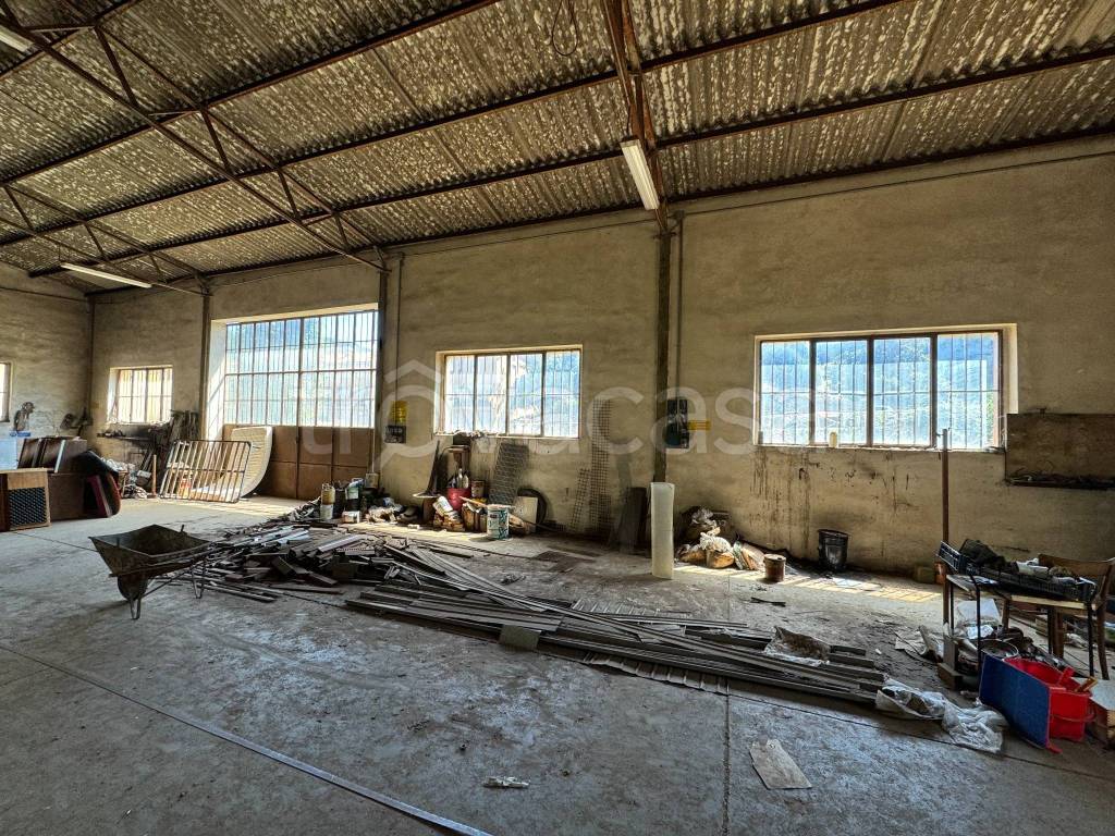 immagine annuncio 11 di 13