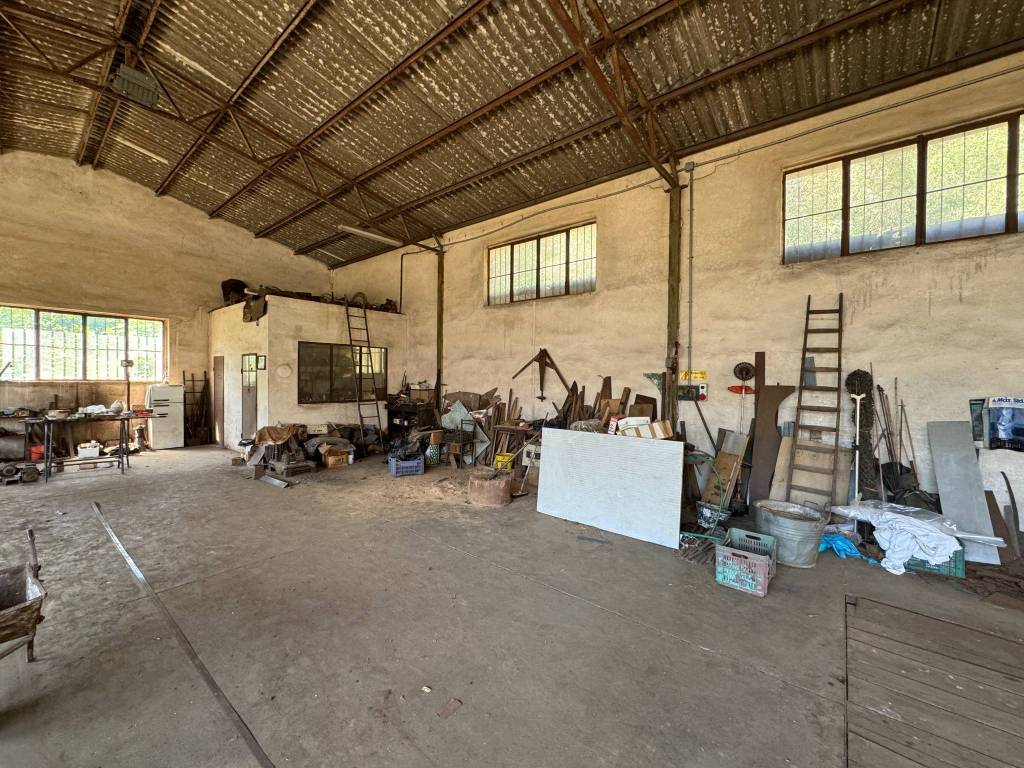 immagine annuncio 7 di 13