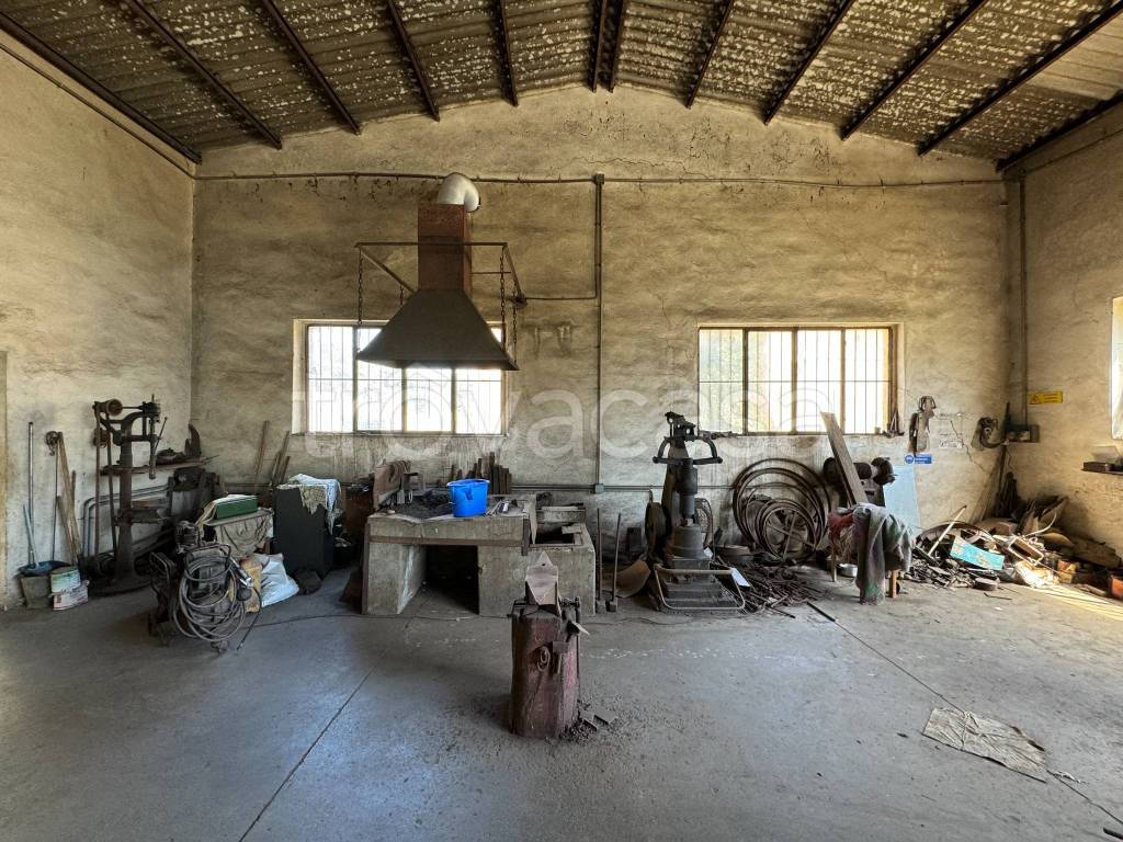 immagine annuncio 12 di 13