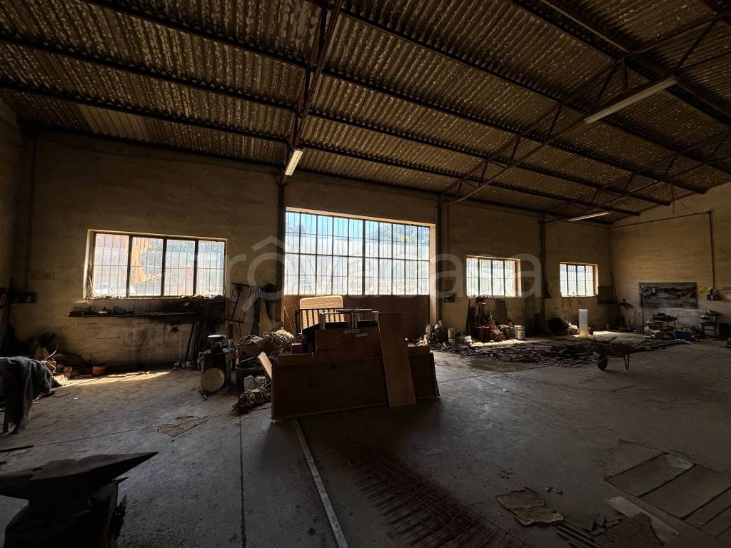 immagine annuncio 9 di 13