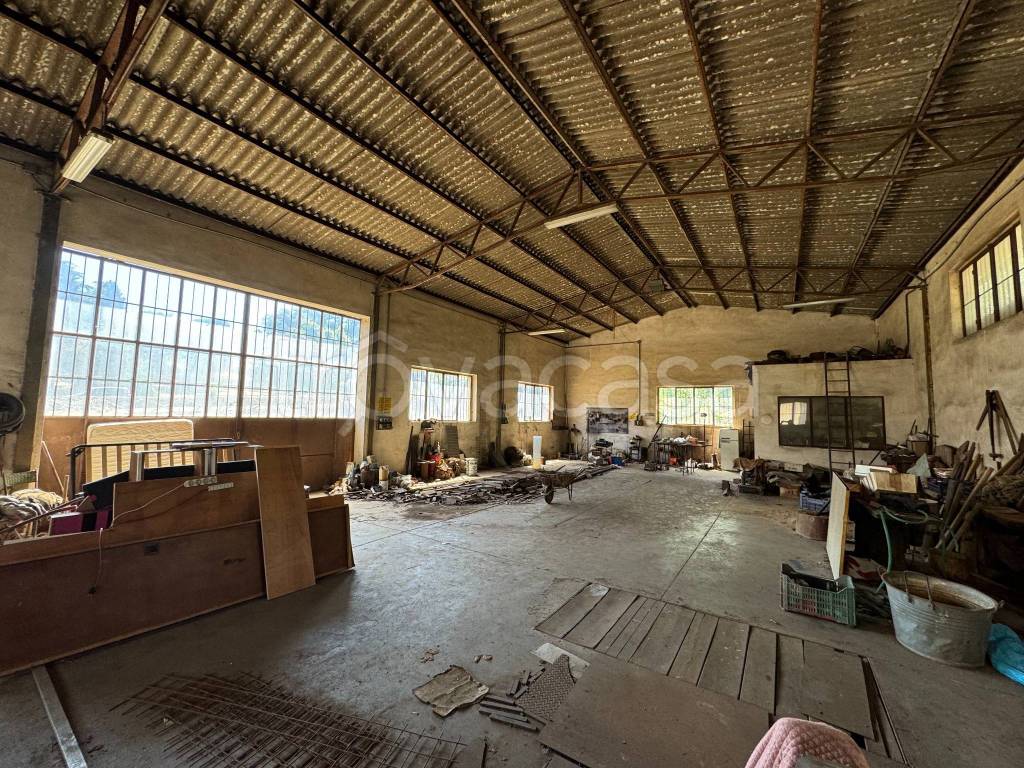 immagine annuncio 6 di 13