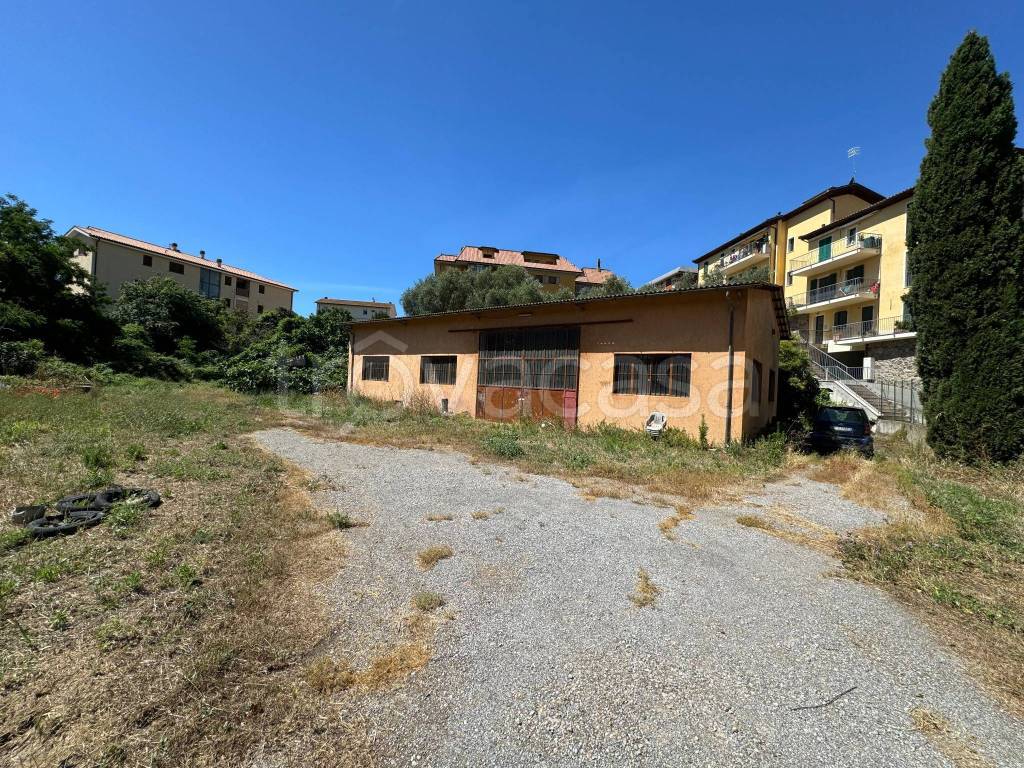 immagine annuncio 2 di 13