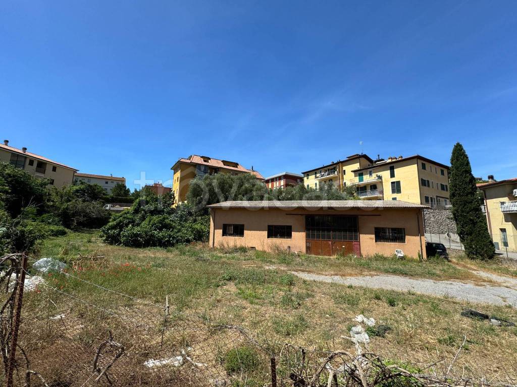 immagine annuncio 5 di 13