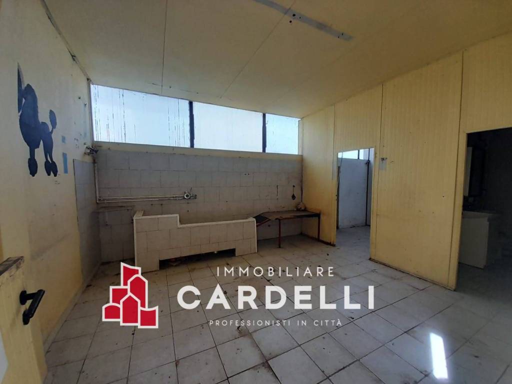 immagine annuncio 1 di 9