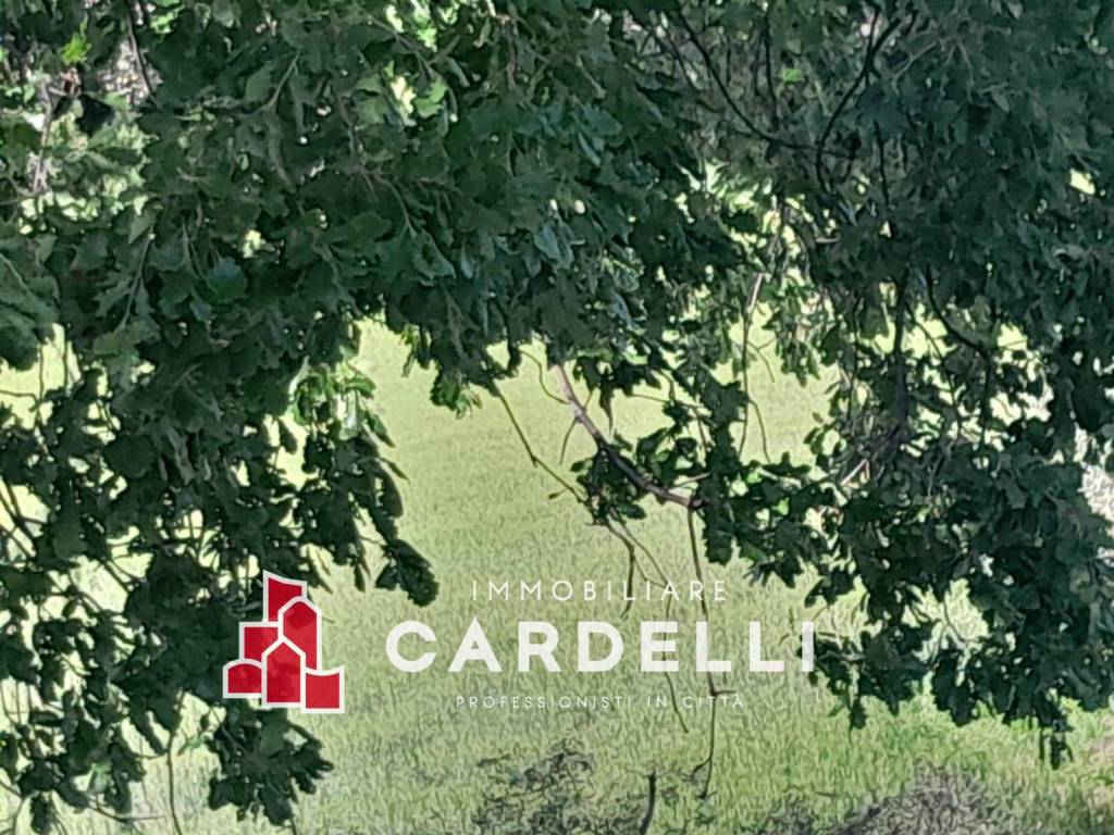 immagine annuncio 6 di 9