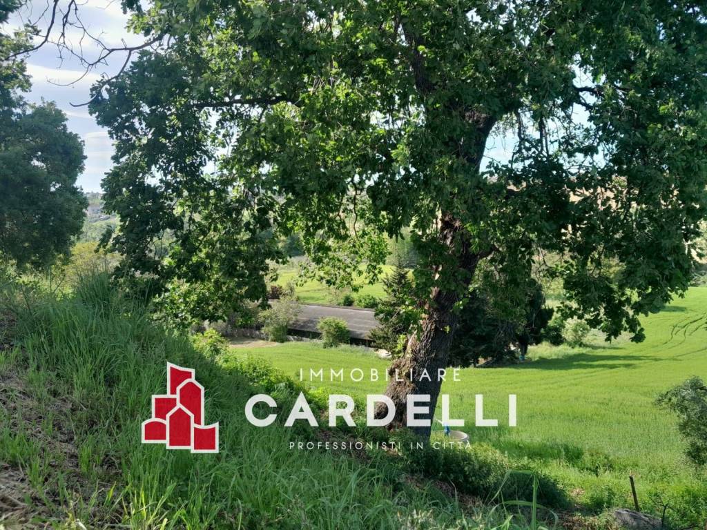 immagine annuncio 7 di 9