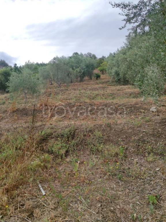 immagine annuncio 11 di 14