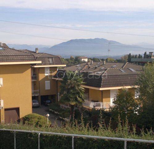 immagine annuncio 8 di 9