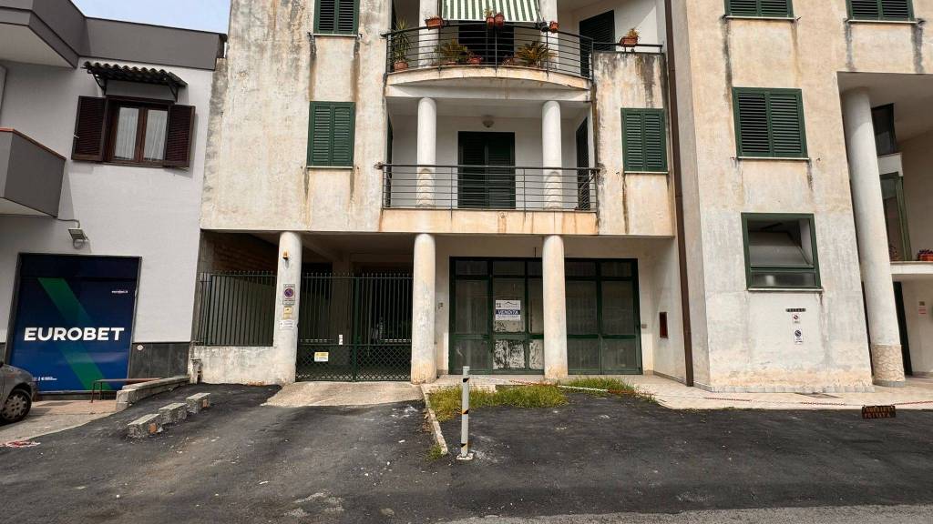 immagine annuncio 2 di 14
