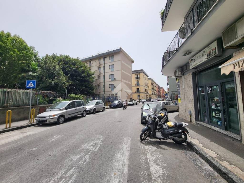 immagine annuncio 5 di 14