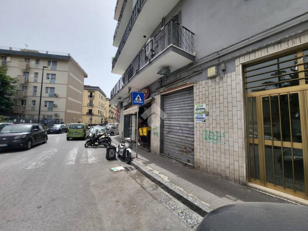 immagine annuncio 8 di 14