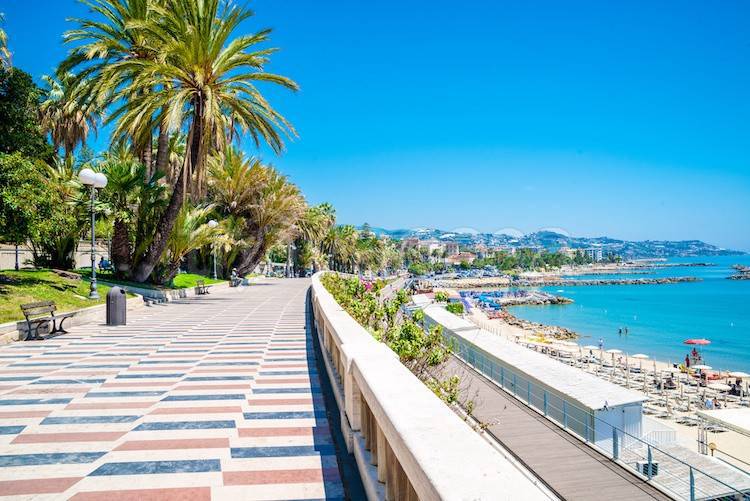 immagine annuncio 10 di 13