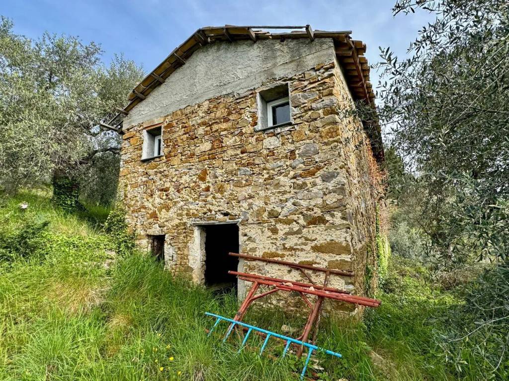 immagine annuncio 4 di 14