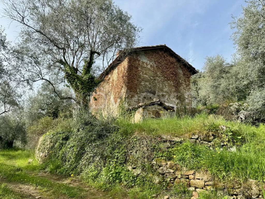 immagine annuncio 9 di 14