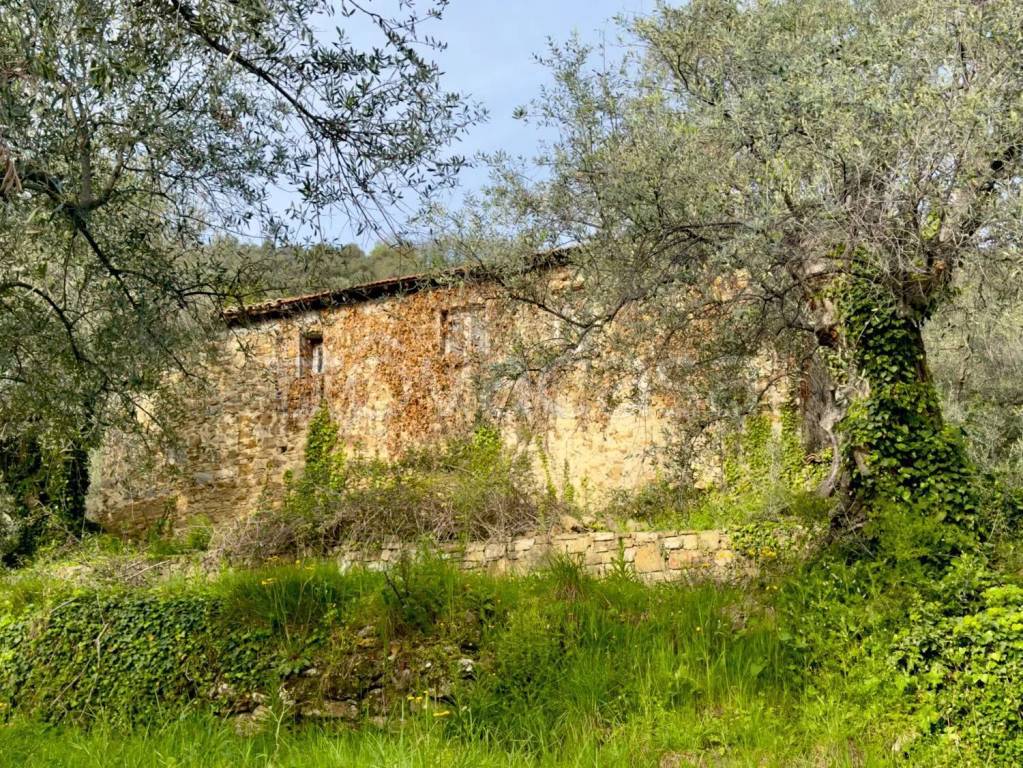 immagine annuncio 10 di 14