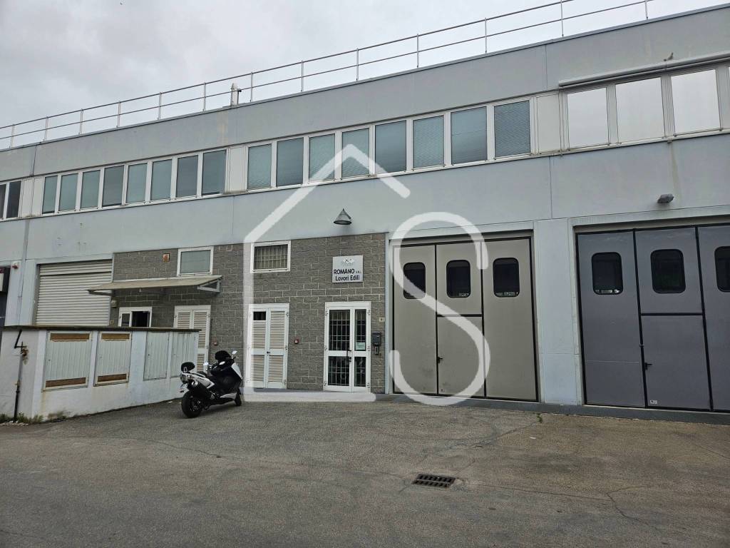 immagine annuncio 1 di 14