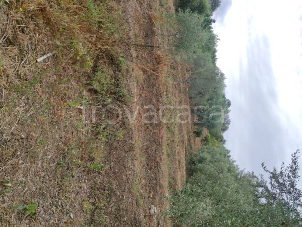 immagine annuncio 10 di 14