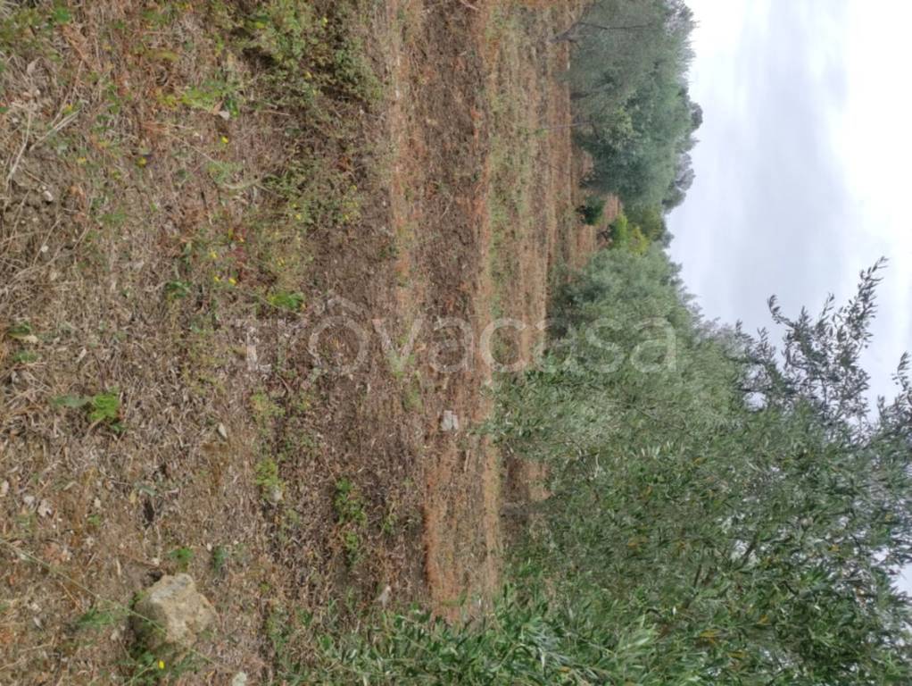 immagine annuncio 11 di 14