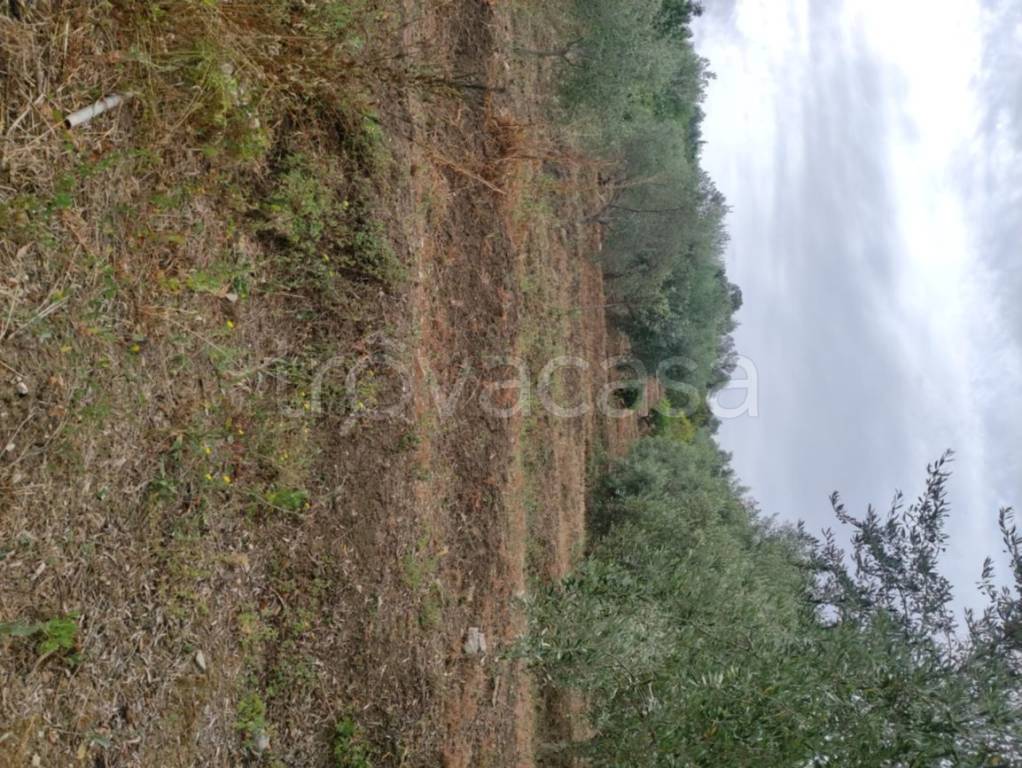 immagine annuncio 12 di 14