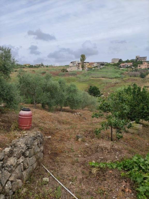 immagine annuncio 7 di 14