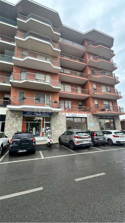 immagine annuncio 5 di 14