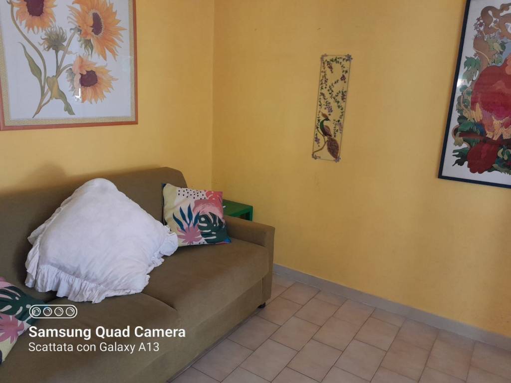 immagine annuncio 5 di 12
