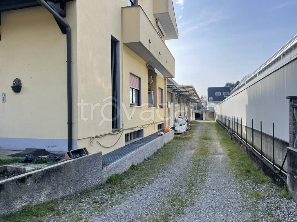 immagine annuncio 10 di 13