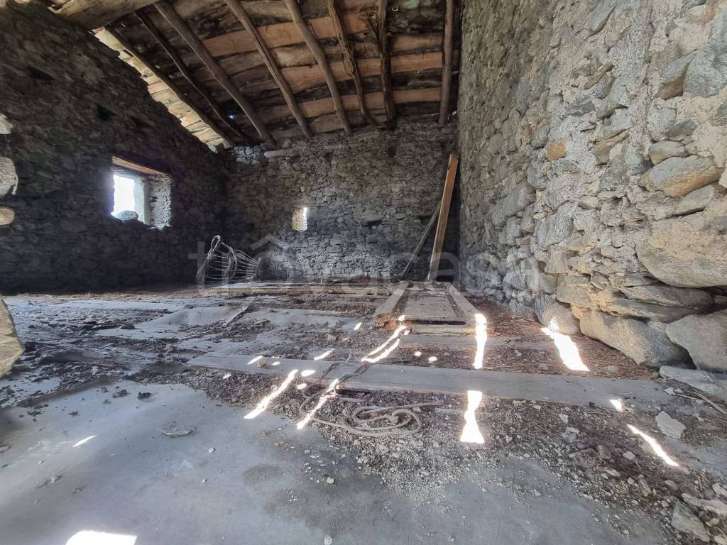 immagine annuncio 4 di 14