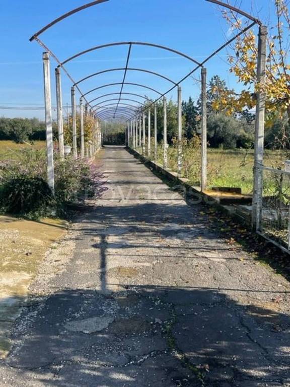 immagine annuncio 2 di 4