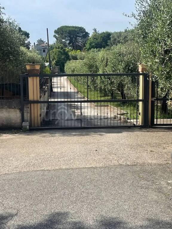immagine annuncio 5 di 8