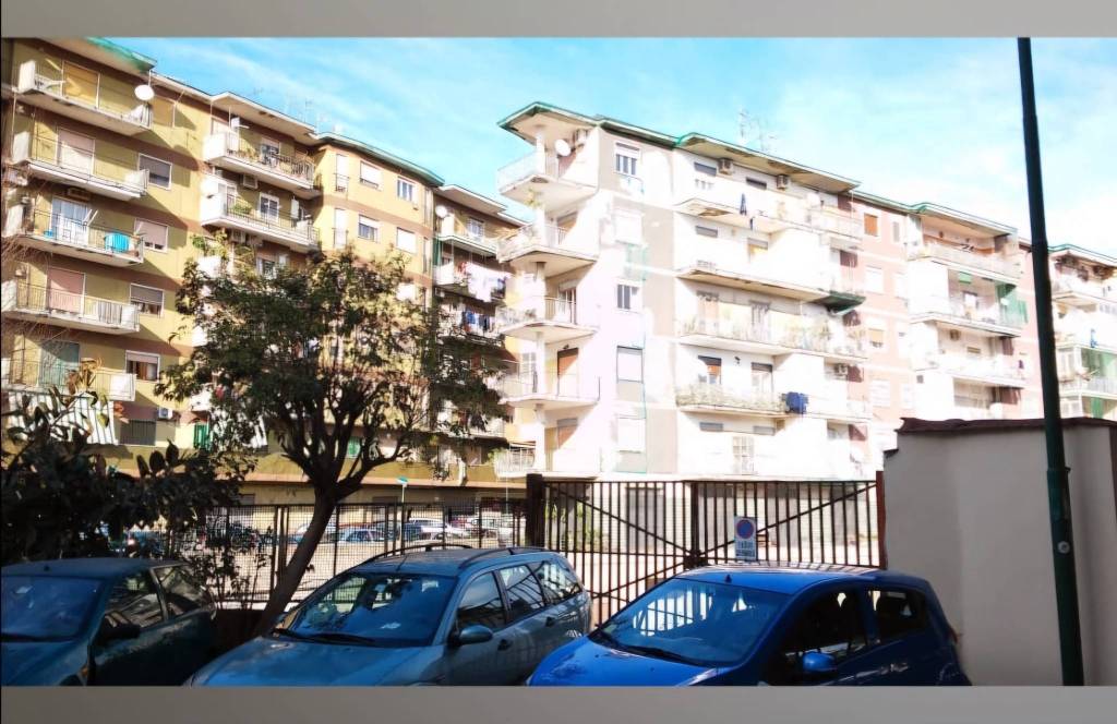 immagine annuncio 2 di 4