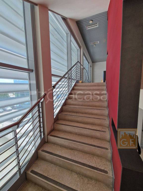 immagine annuncio 9 di 13