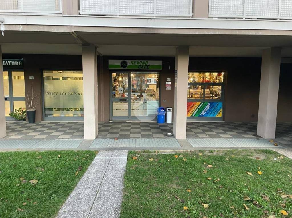 immagine annuncio 5 di 11