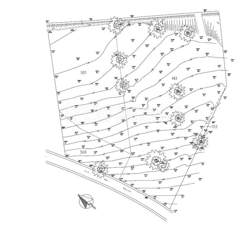 immagine annuncio 11 di 12