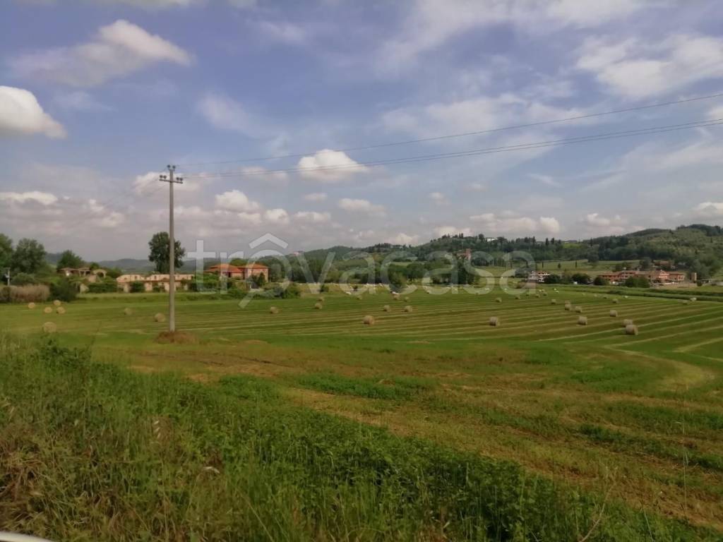 immagine annuncio 4 di 6