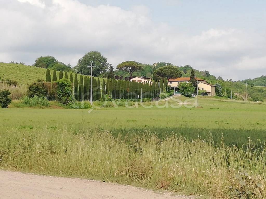 immagine annuncio 5 di 6