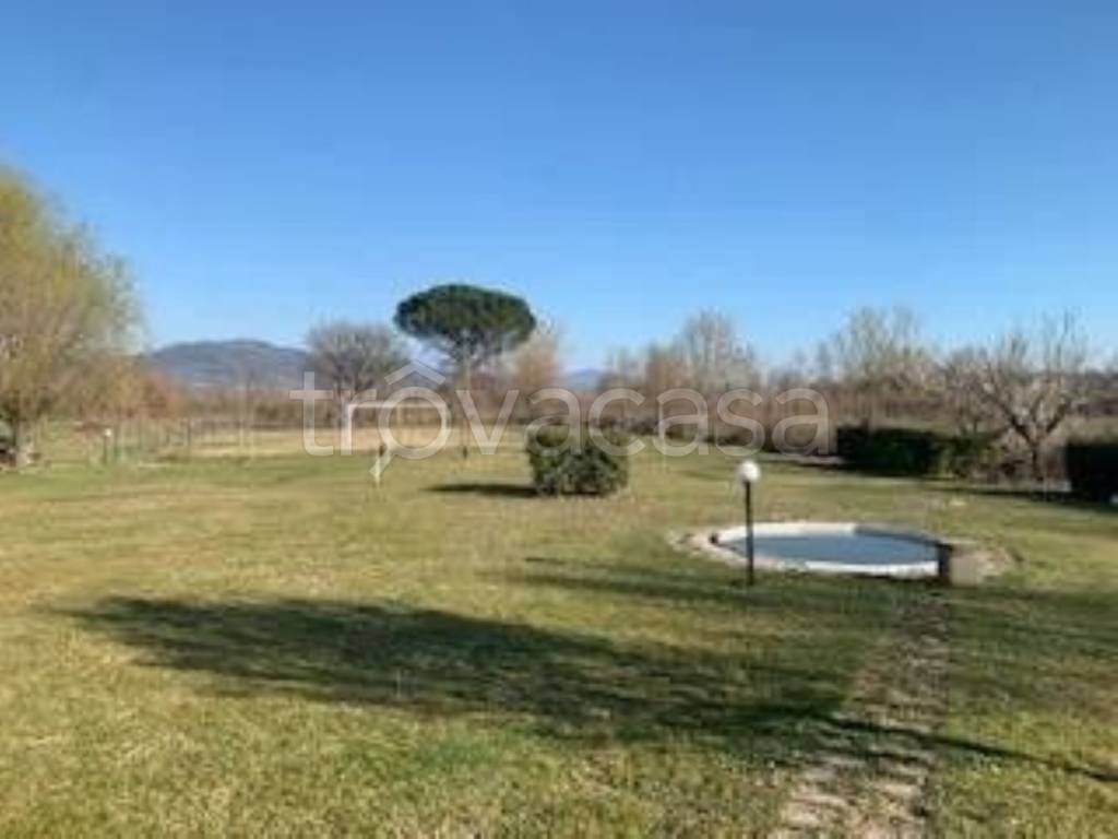 immagine annuncio 2 di 6