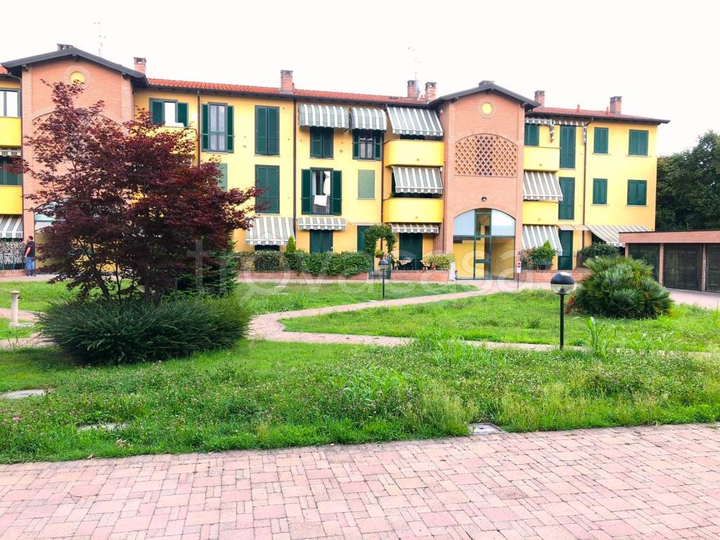 immagine annuncio 3 di 15