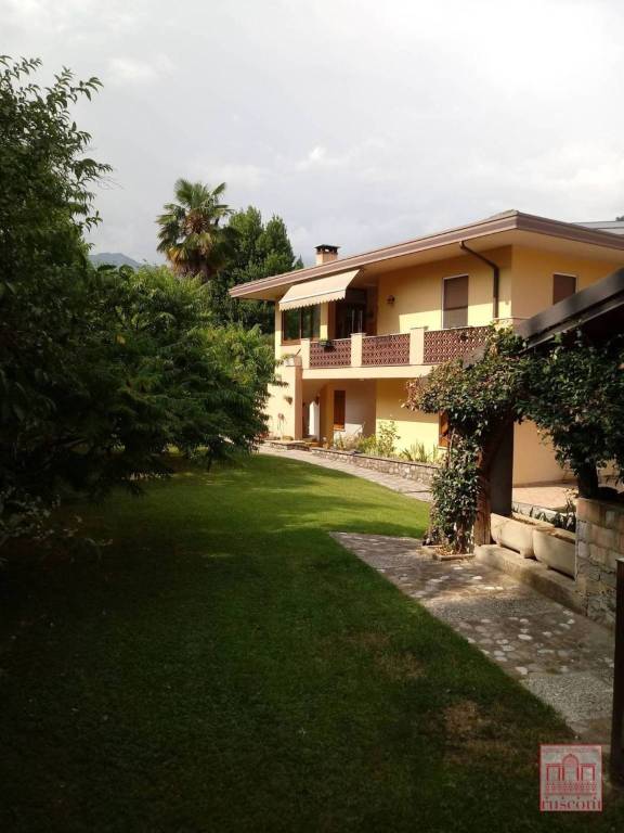 immagine annuncio 4 di 9