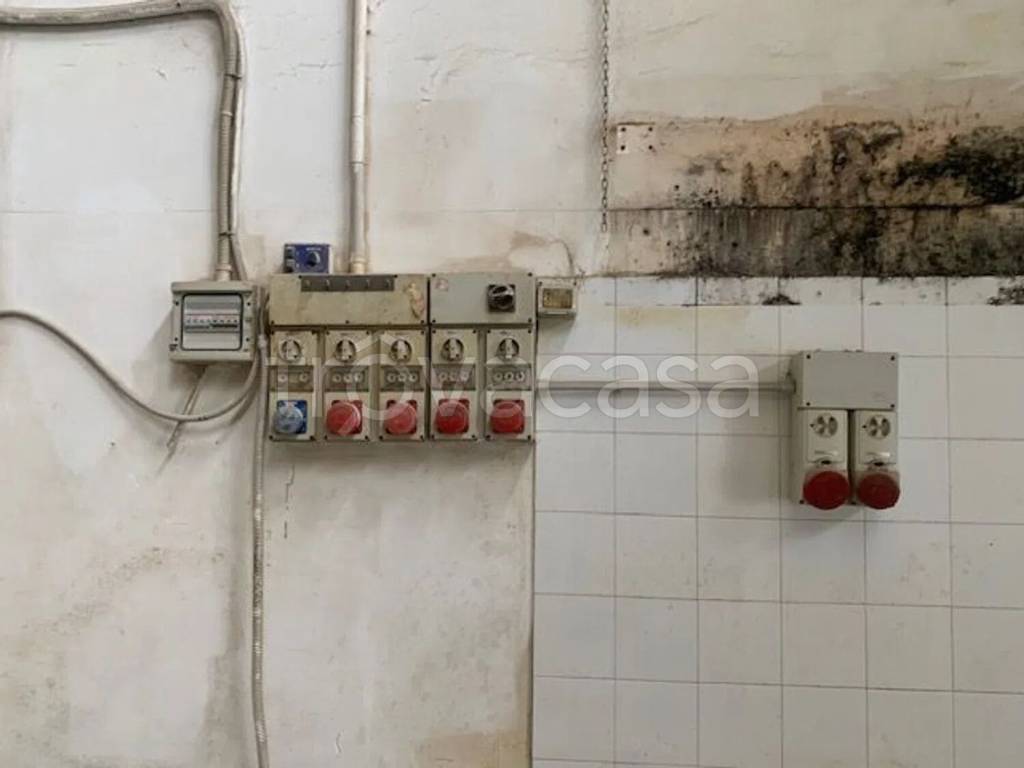 immagine annuncio 1 di 4