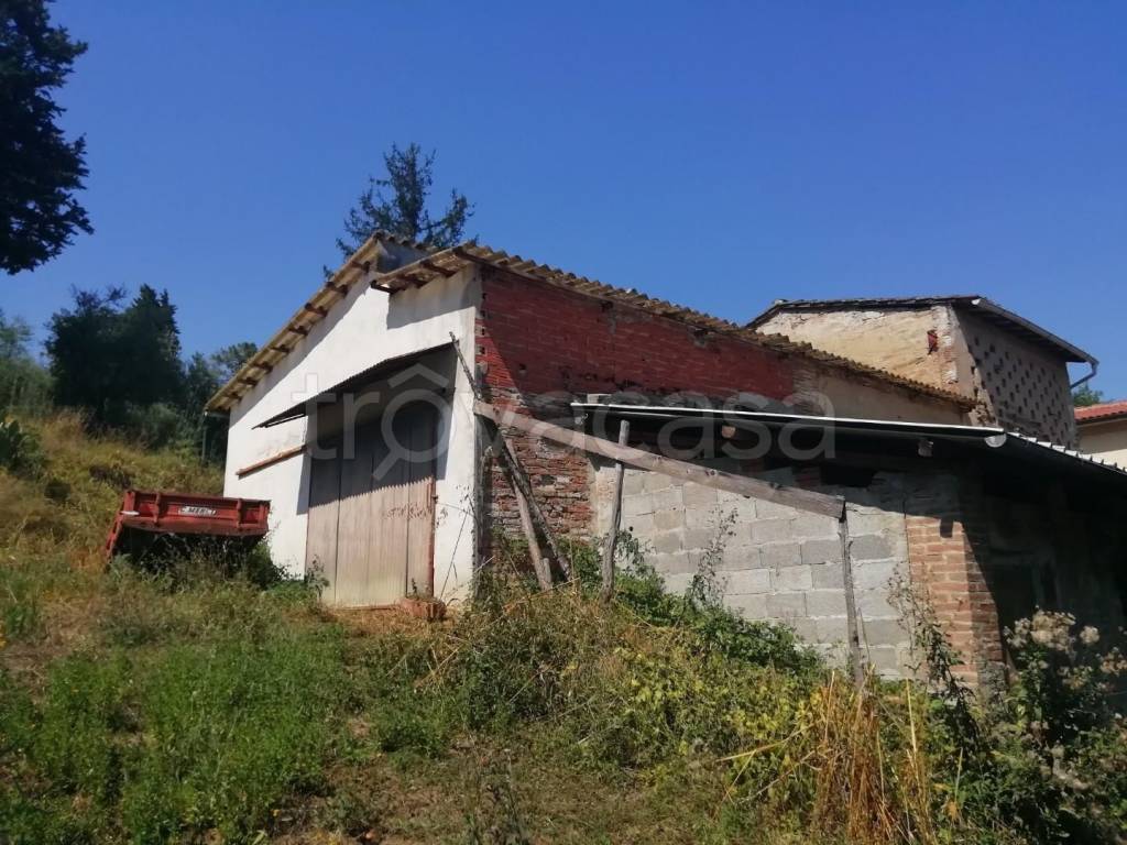 immagine annuncio 6 di 11