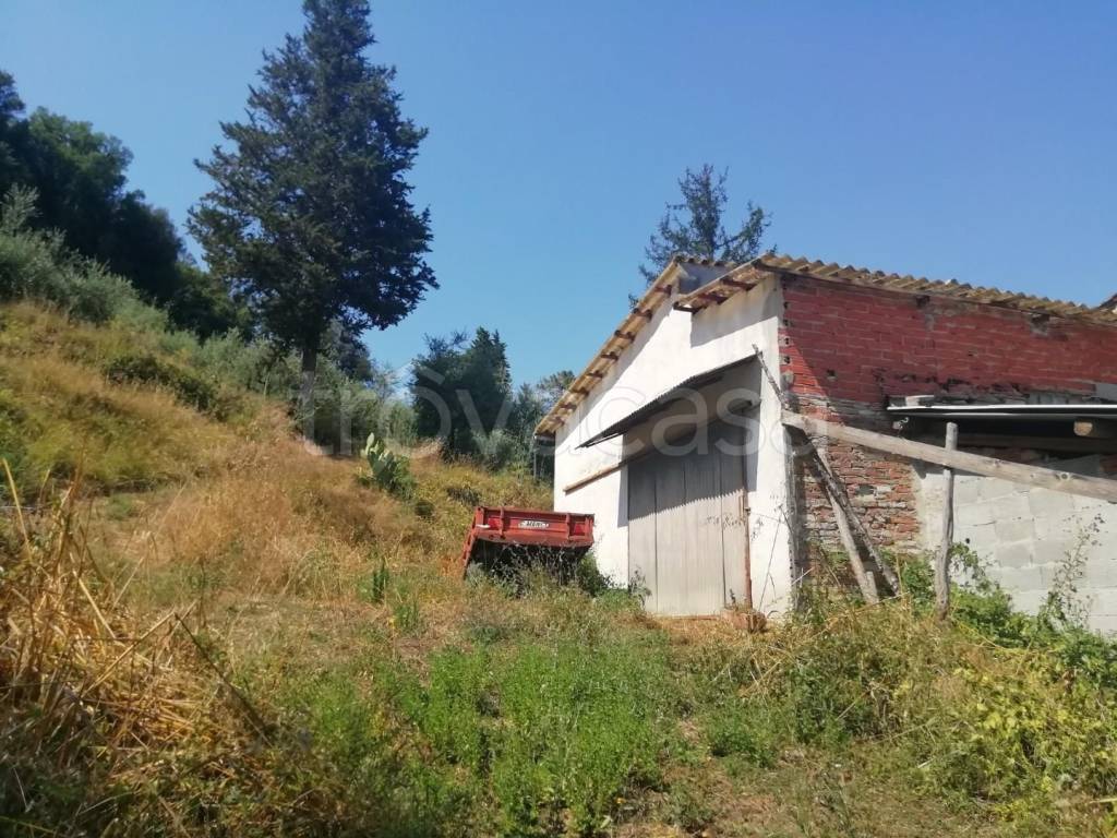 immagine annuncio 7 di 11