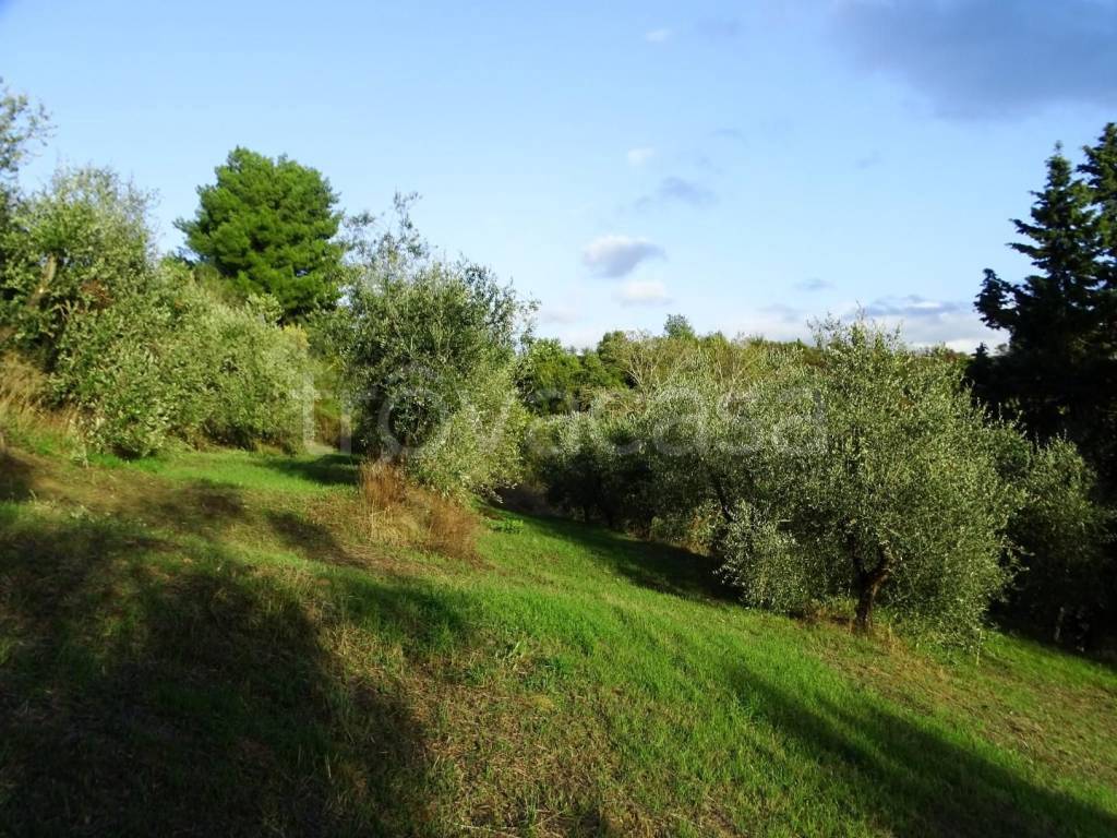 immagine annuncio 4 di 11